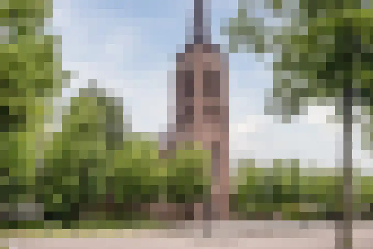 Hoog Geldrop 99 Geldrop thumbnail 56
