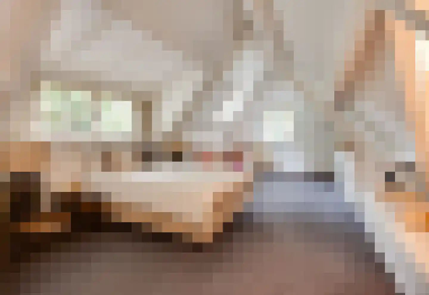 Hoog Hoefloo 27 Laren thumbnail 19
