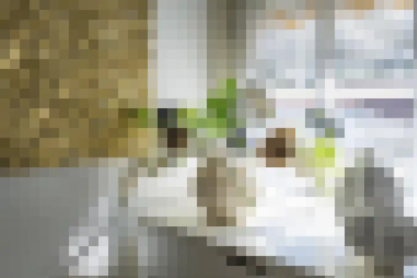 Hoog Hoefloo 27 Laren thumbnail 29