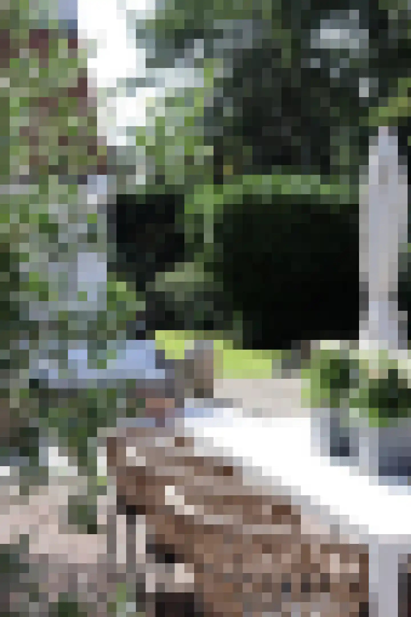 Hoog Hoefloo 27 Laren thumbnail 34