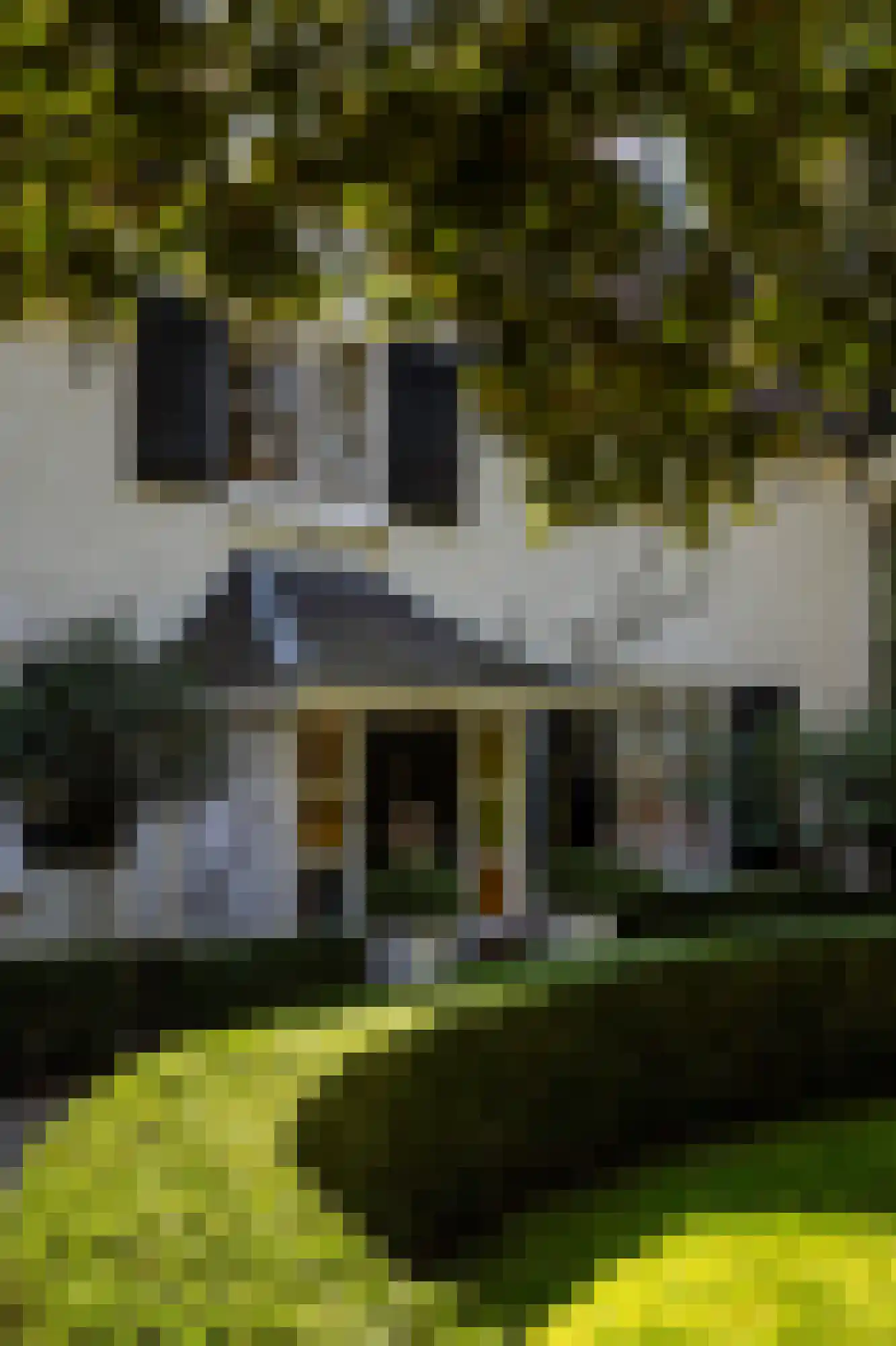 Hoog Hoefloo 27 Laren thumbnail 4