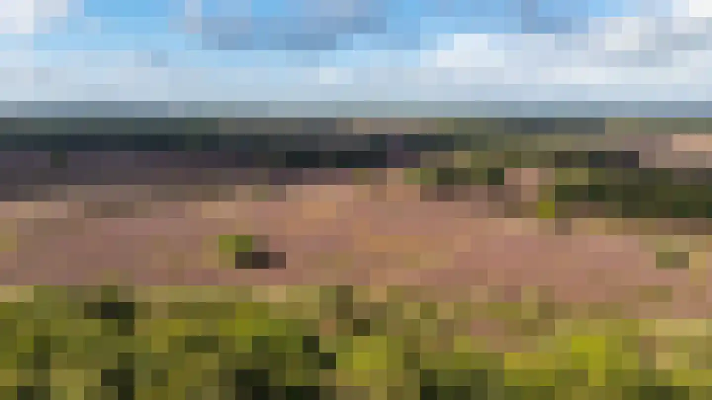 Hoog Hoefloo 27 Laren thumbnail 40