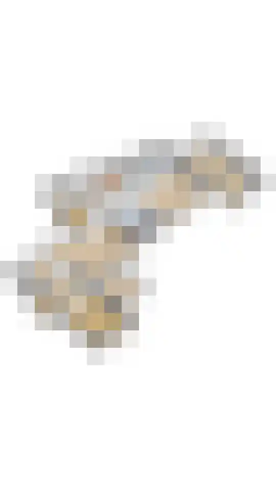 Hoog Hoefloo 27 Laren thumbnail 42