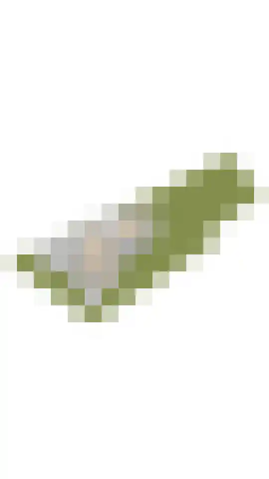Hoog Hoefloo 27 Laren thumbnail 50