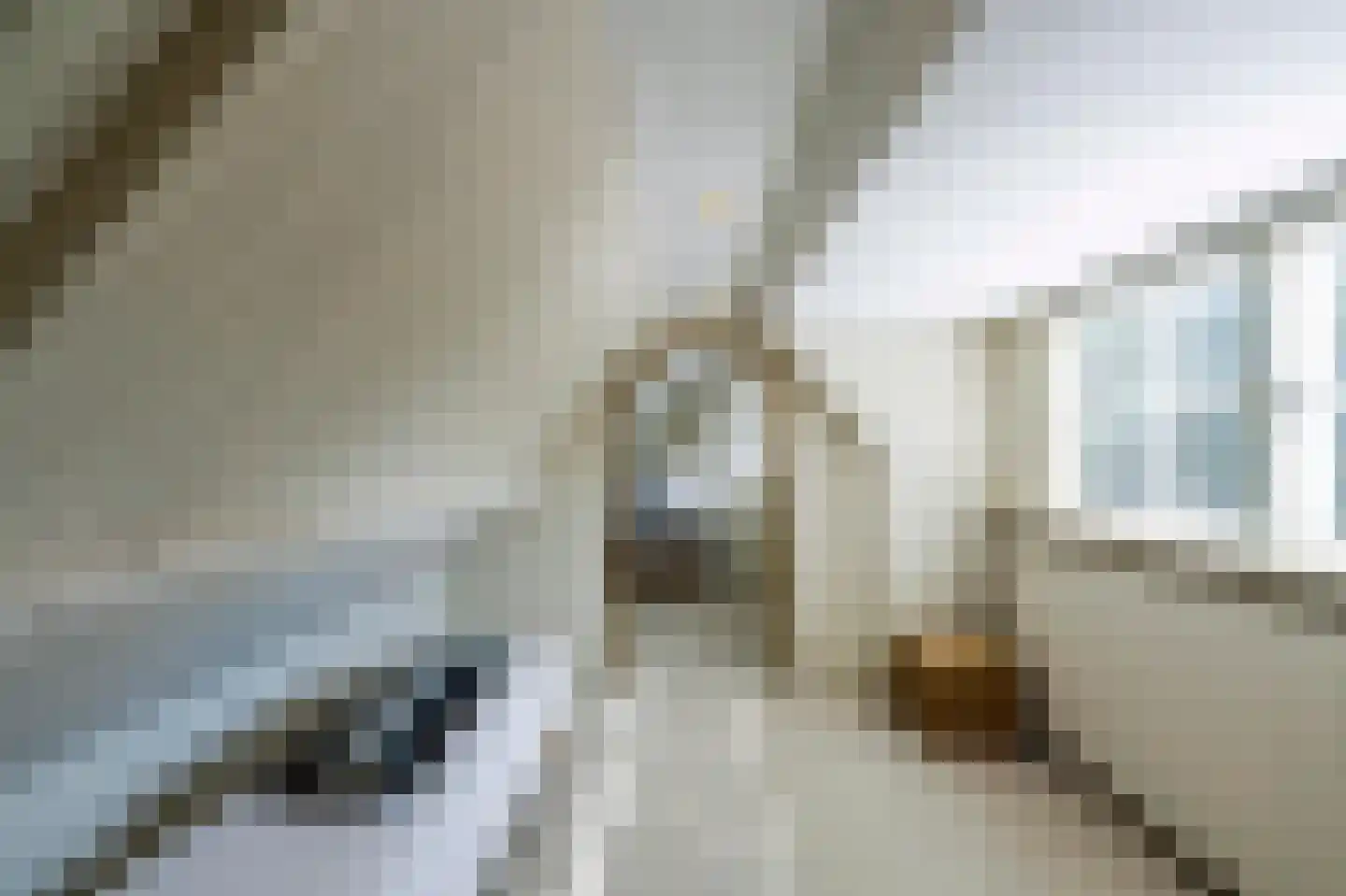 Hoog Hoefloo 27 Laren thumbnail 59