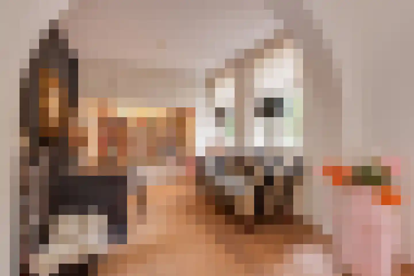 Hoog Hoefloo 27 Laren thumbnail 9
