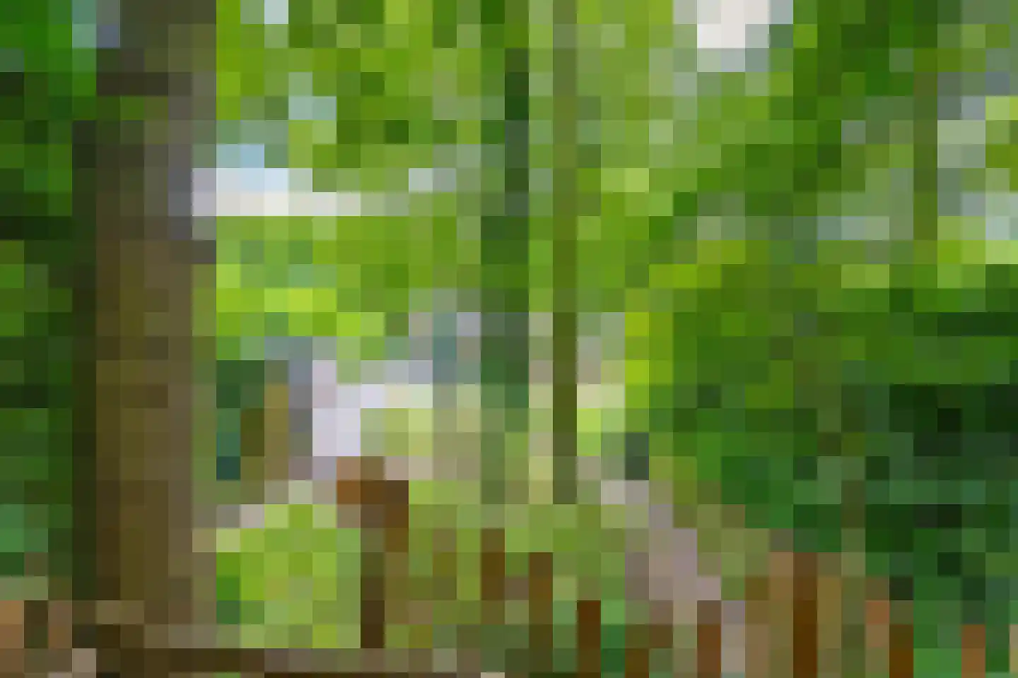 Hoog Hoefloo 28 Laren thumbnail 12