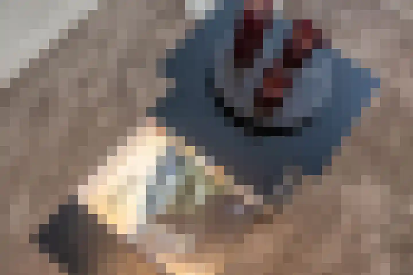Hoog Hoefloo 28 Laren thumbnail 22