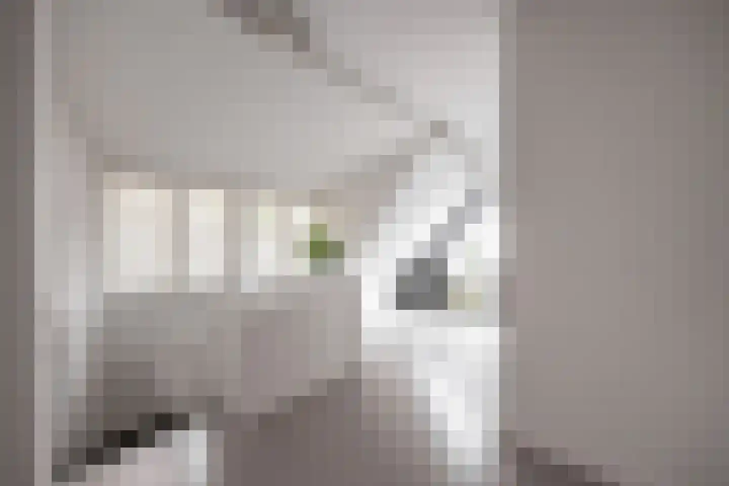 Hoog Hoefloo 28 Laren thumbnail 35