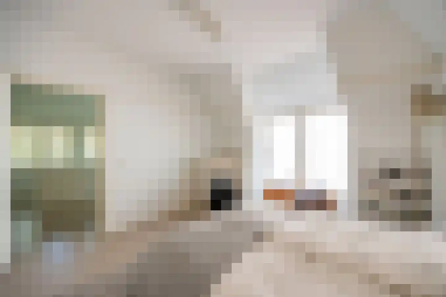 Hoog Hoefloo 28 Laren thumbnail 46