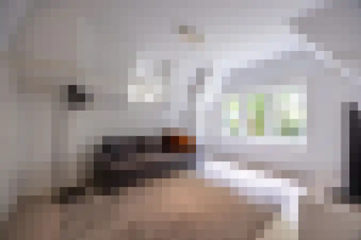 Hoog Hoefloo 28 Laren thumbnail 50