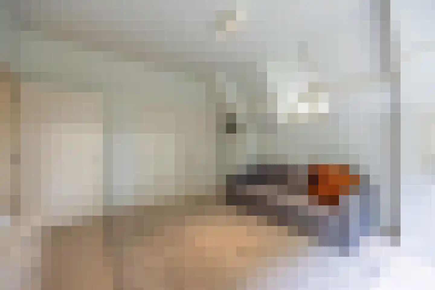 Hoog Hoefloo 28 Laren thumbnail 51