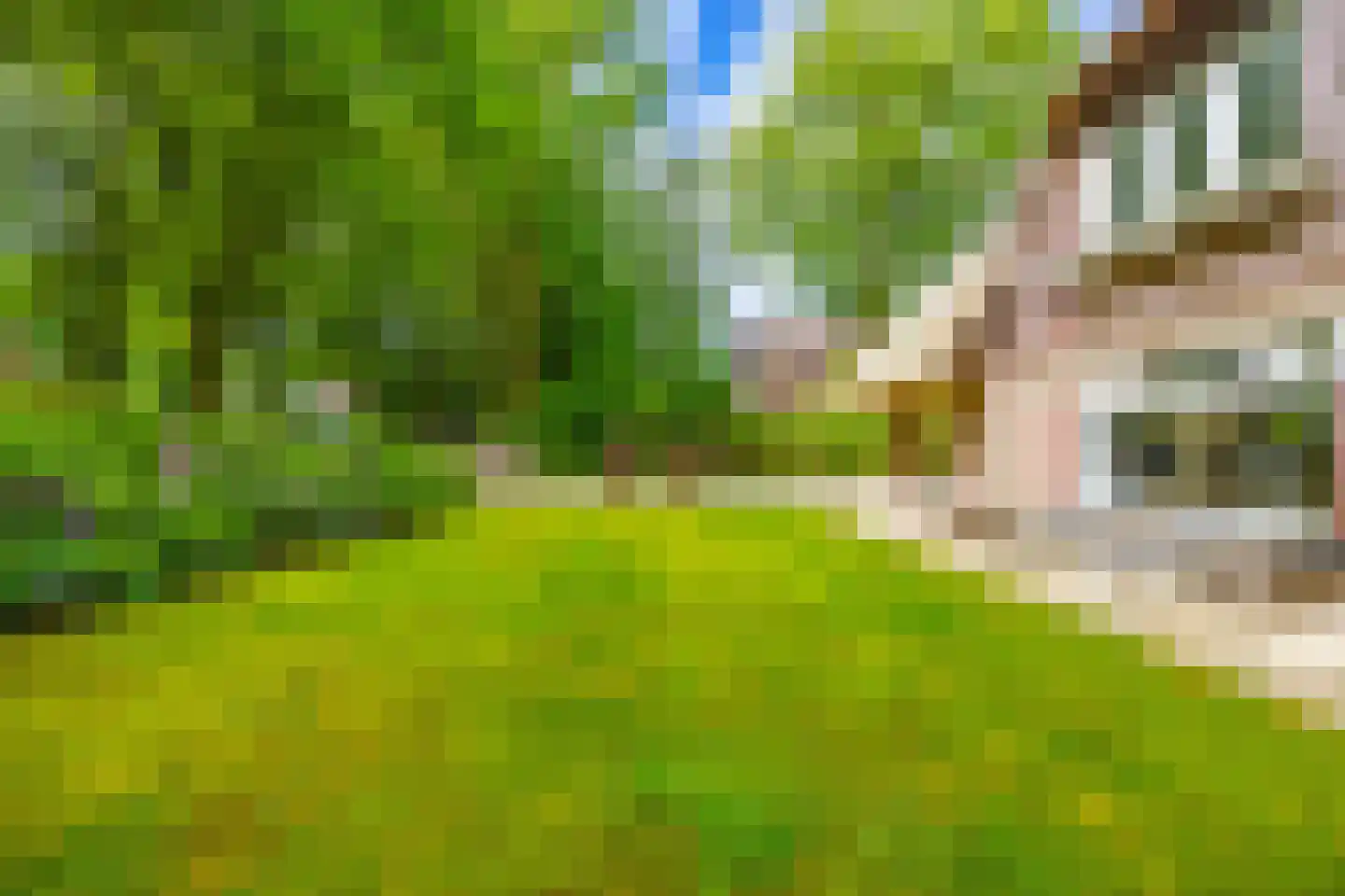 Hoog Hoefloo 28 Laren thumbnail 6