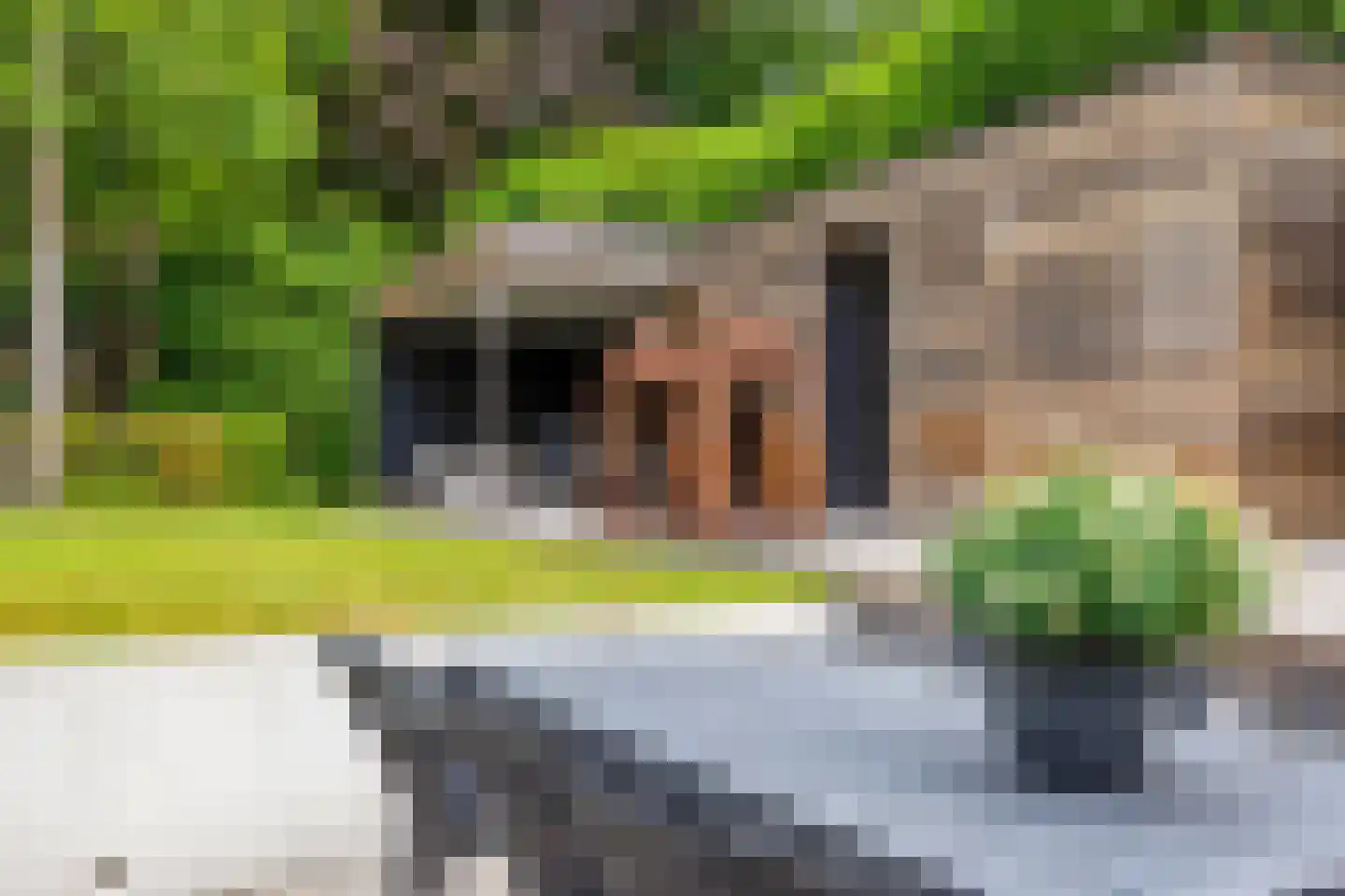 Hoog Hoefloo 28 Laren thumbnail 9