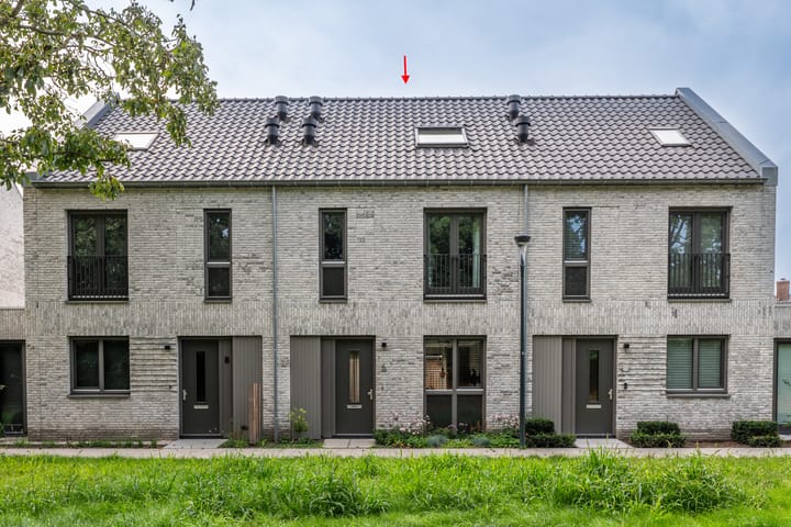 Hoog Koolmond 6 en Oirschot foto