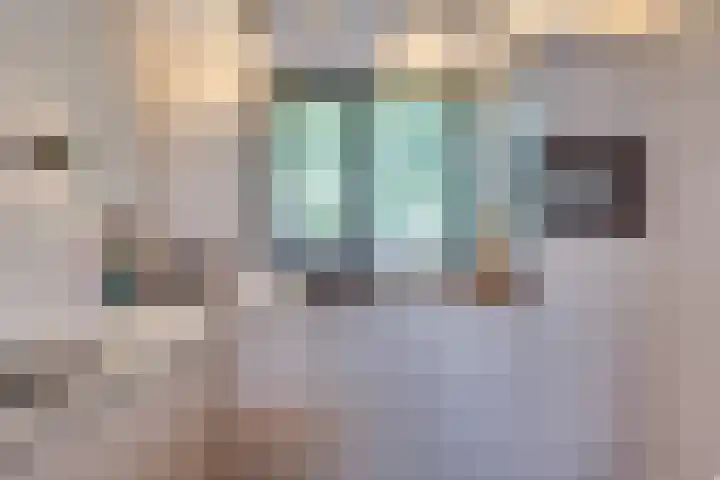 Hoog Koolmond 6 Oirschot thumbnail 11
