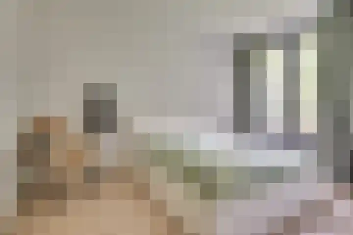 Hoog Koolmond 6 Oirschot thumbnail 17