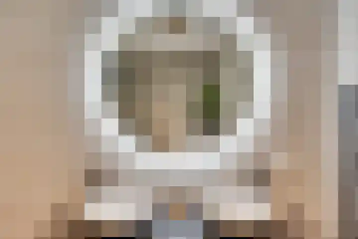 Hoog Koolmond 6 Oirschot thumbnail 20