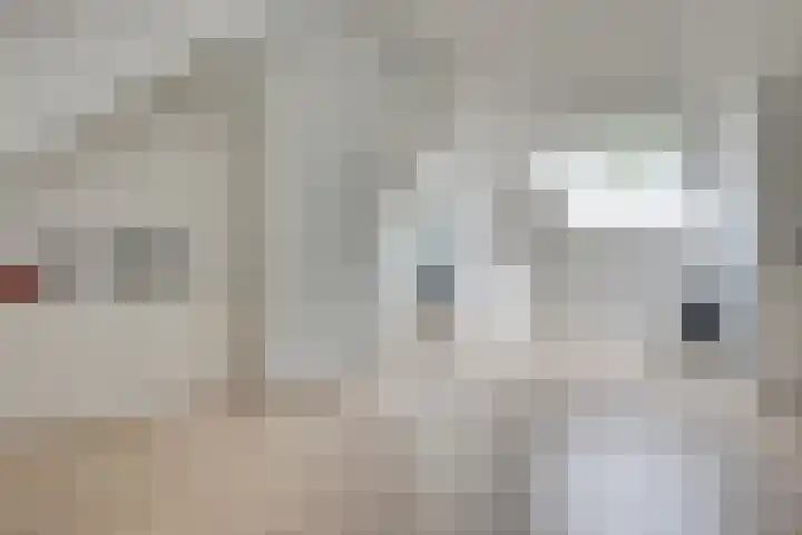 Hoog Koolmond 6 Oirschot thumbnail 22