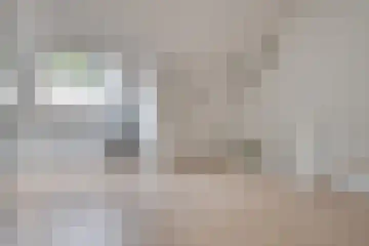 Hoog Koolmond 6 Oirschot thumbnail 23