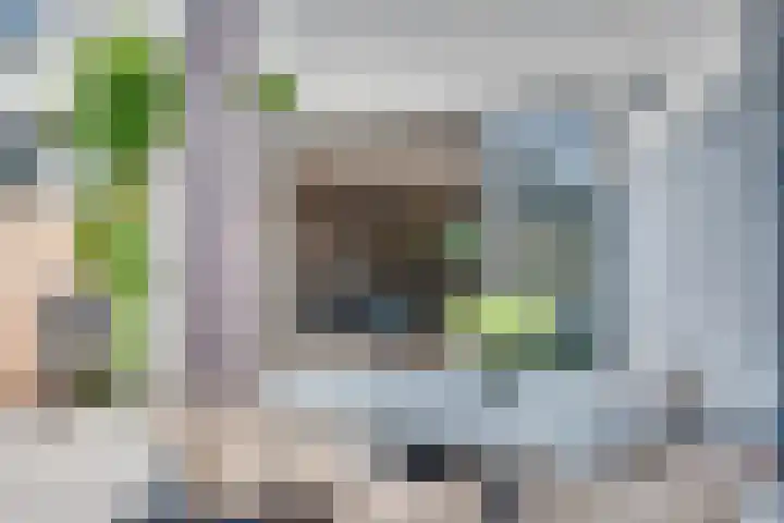 Hoog Koolmond 6 Oirschot thumbnail 24