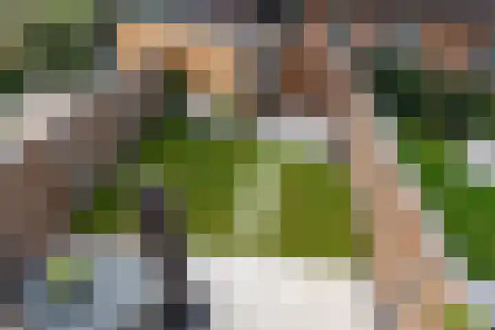 Hoog Koolmond 6 Oirschot thumbnail 27