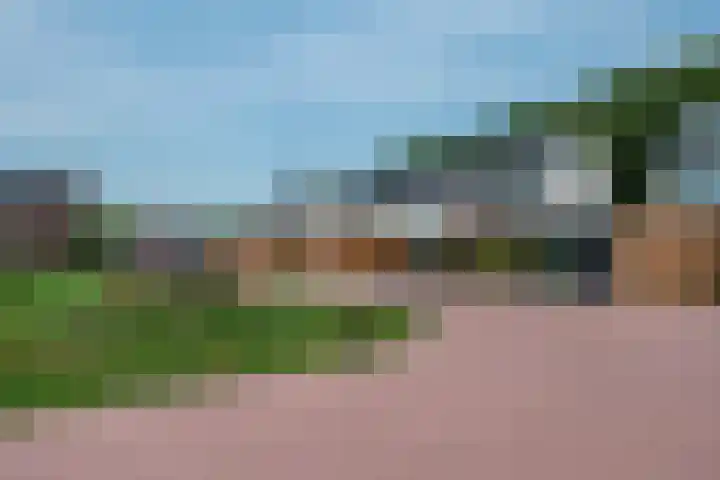 Hoog Koolmond 6 Oirschot thumbnail 29