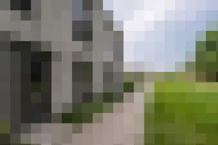 Hoog Koolmond 6 Oirschot thumbnail 30
