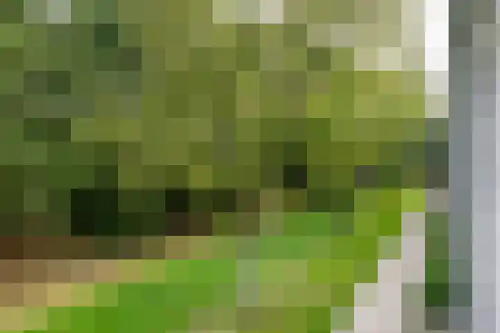 Hoog Koolmond 6 Oirschot thumbnail 31