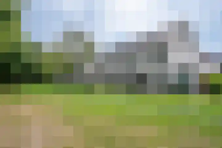 Hoog Koolmond 6 Oirschot thumbnail 32