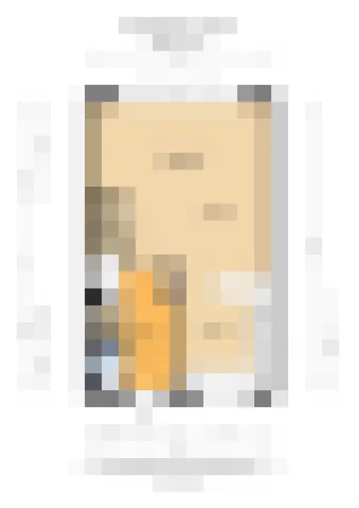 Hoog Koolmond 6 Oirschot thumbnail 33