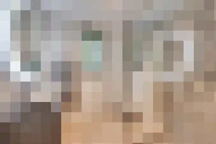 Hoog Koolmond 6 Oirschot thumbnail 4