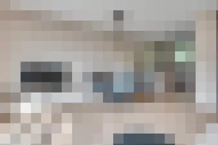 Hoog Koolmond 6 Oirschot thumbnail 8