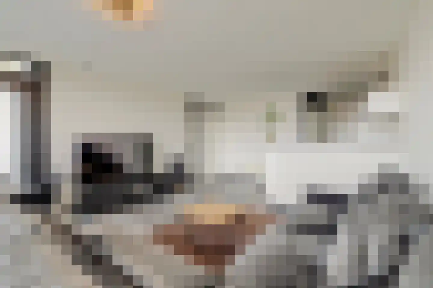 Hoog Maanen 36 Ede thumbnail 17