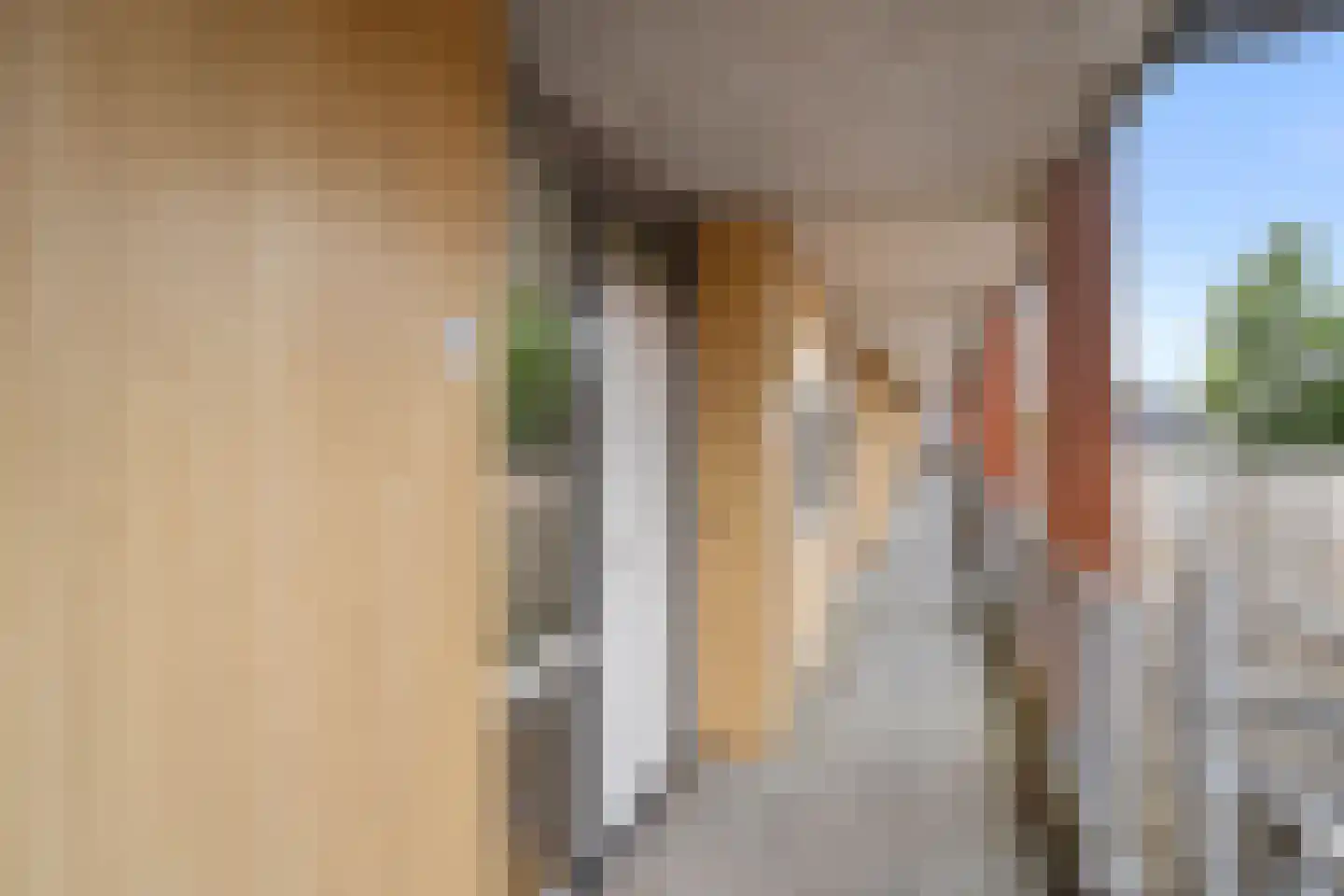 Hoog Maanen 52 Ede thumbnail 12