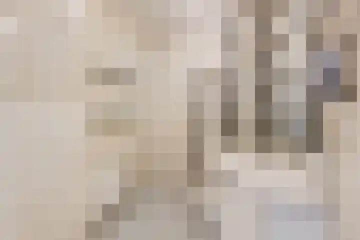 Hoog Maanen 8 Ede thumbnail 20