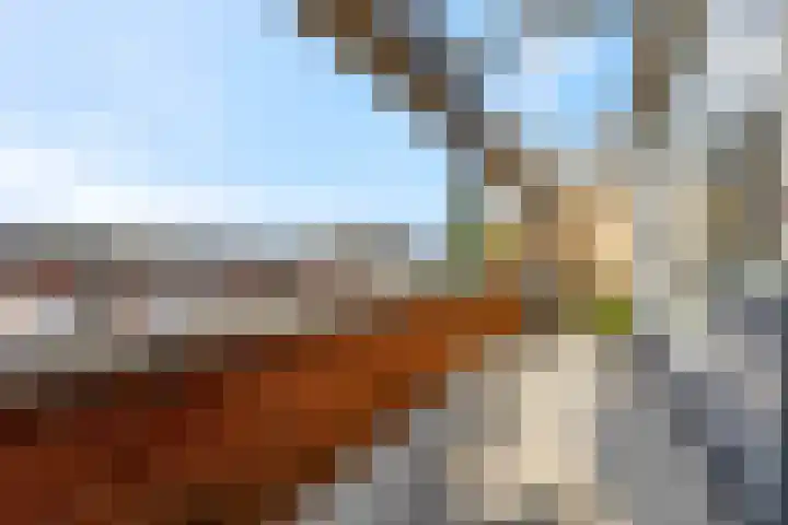 Hoog Maanen 8 Ede thumbnail 23