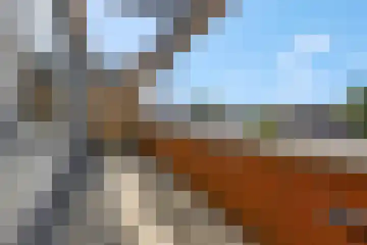 Hoog Maanen 8 Ede thumbnail 24