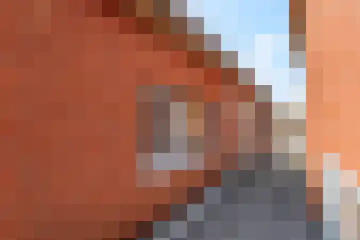 Hoog Maanen 8 Ede thumbnail 27