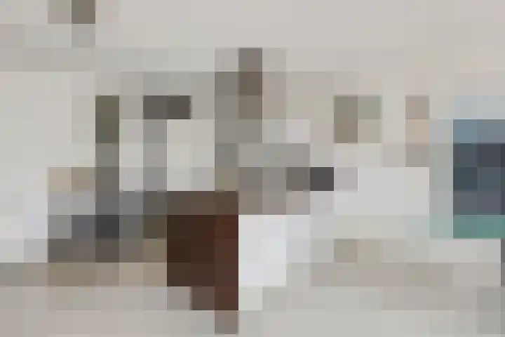 Hoog Maanen 8 Ede thumbnail 9