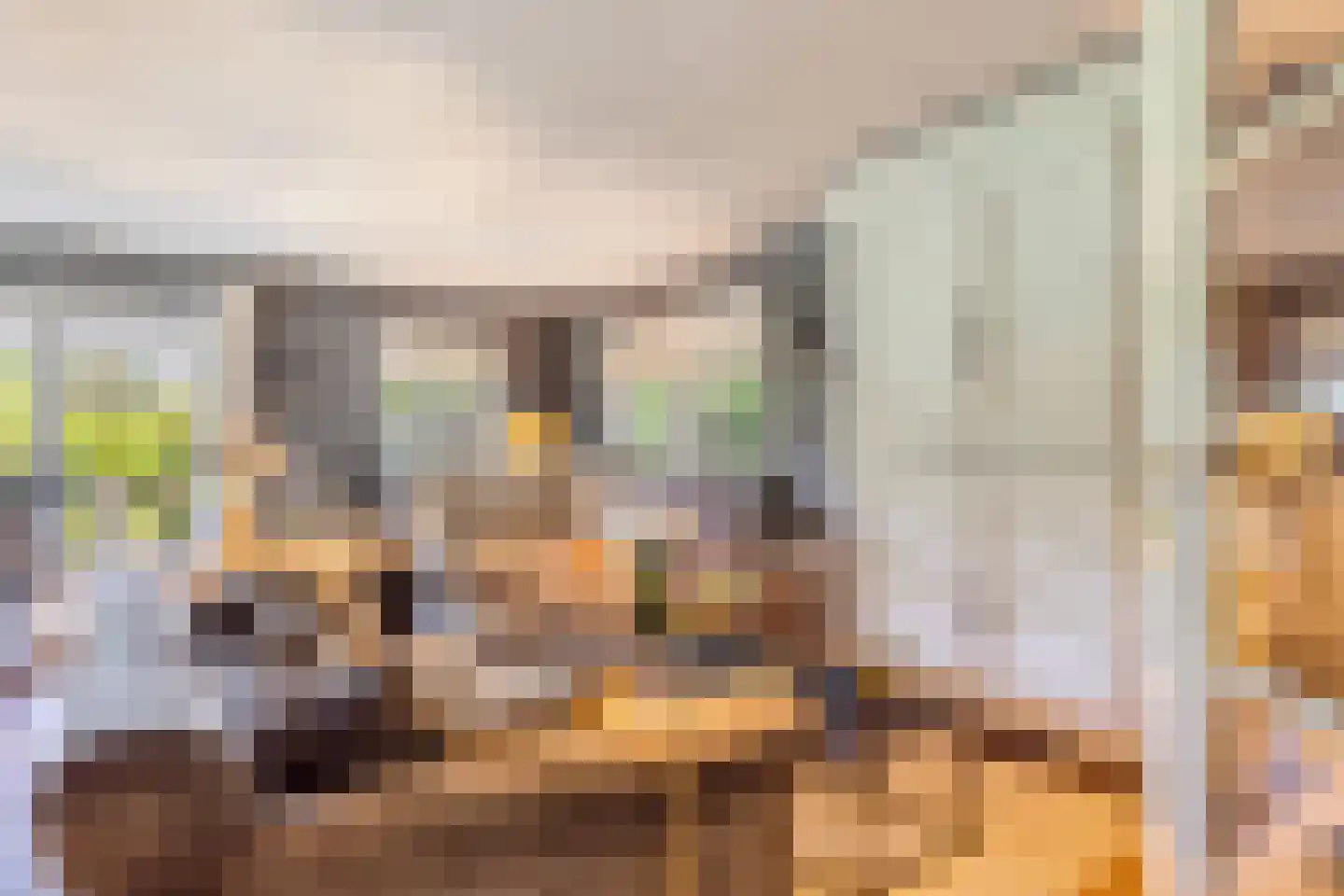Hoog Soeren 105 Hoog Soeren thumbnail 15