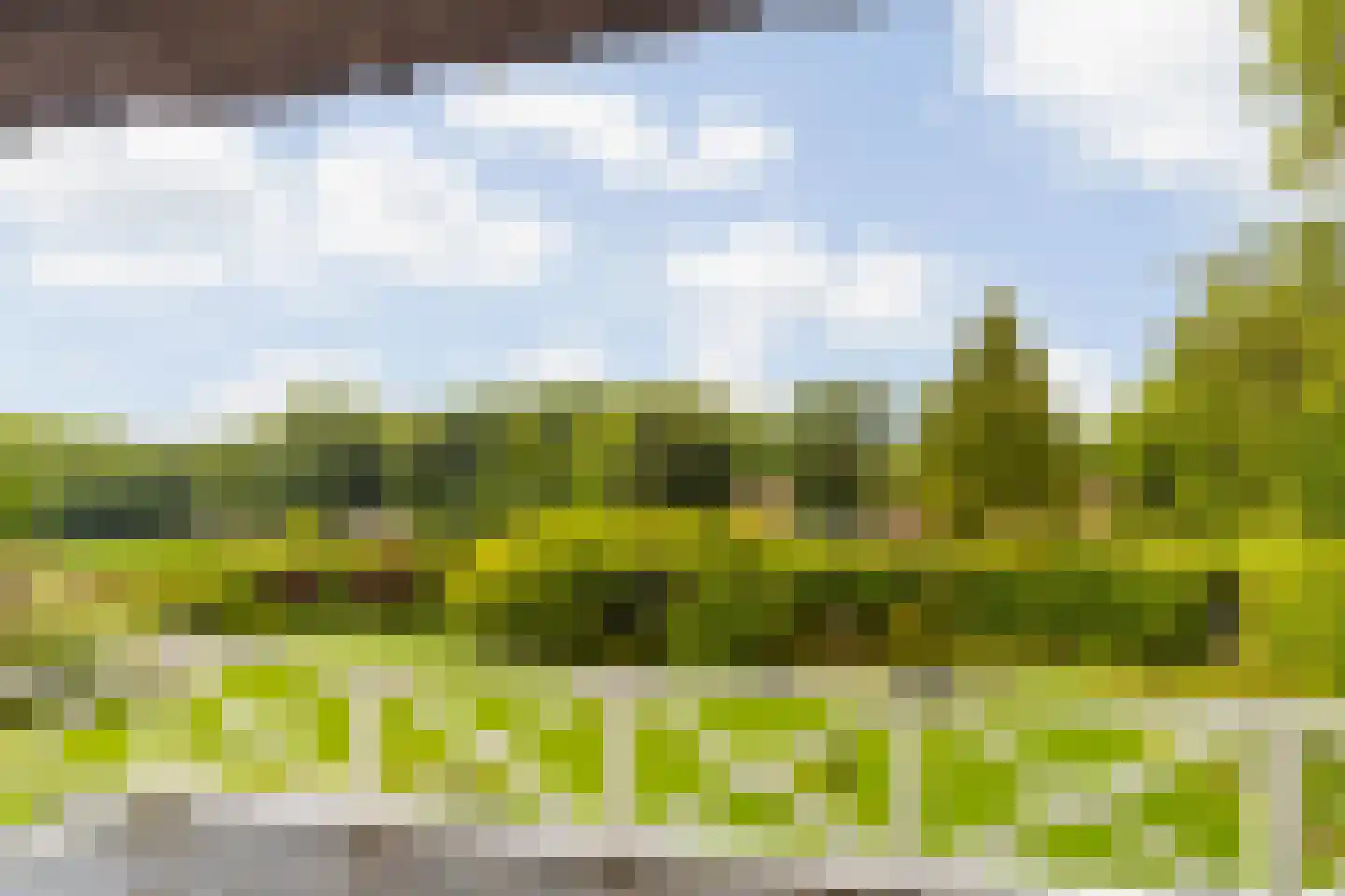 Hoog Soeren 105 Hoog Soeren thumbnail 22