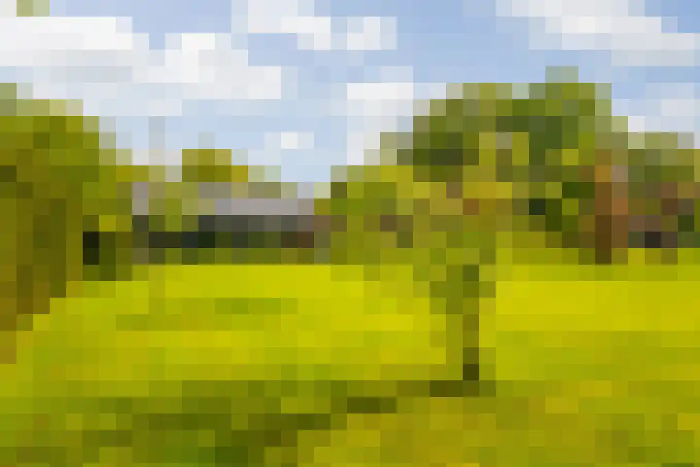 Hoog Soeren 105 Hoog Soeren thumbnail 39