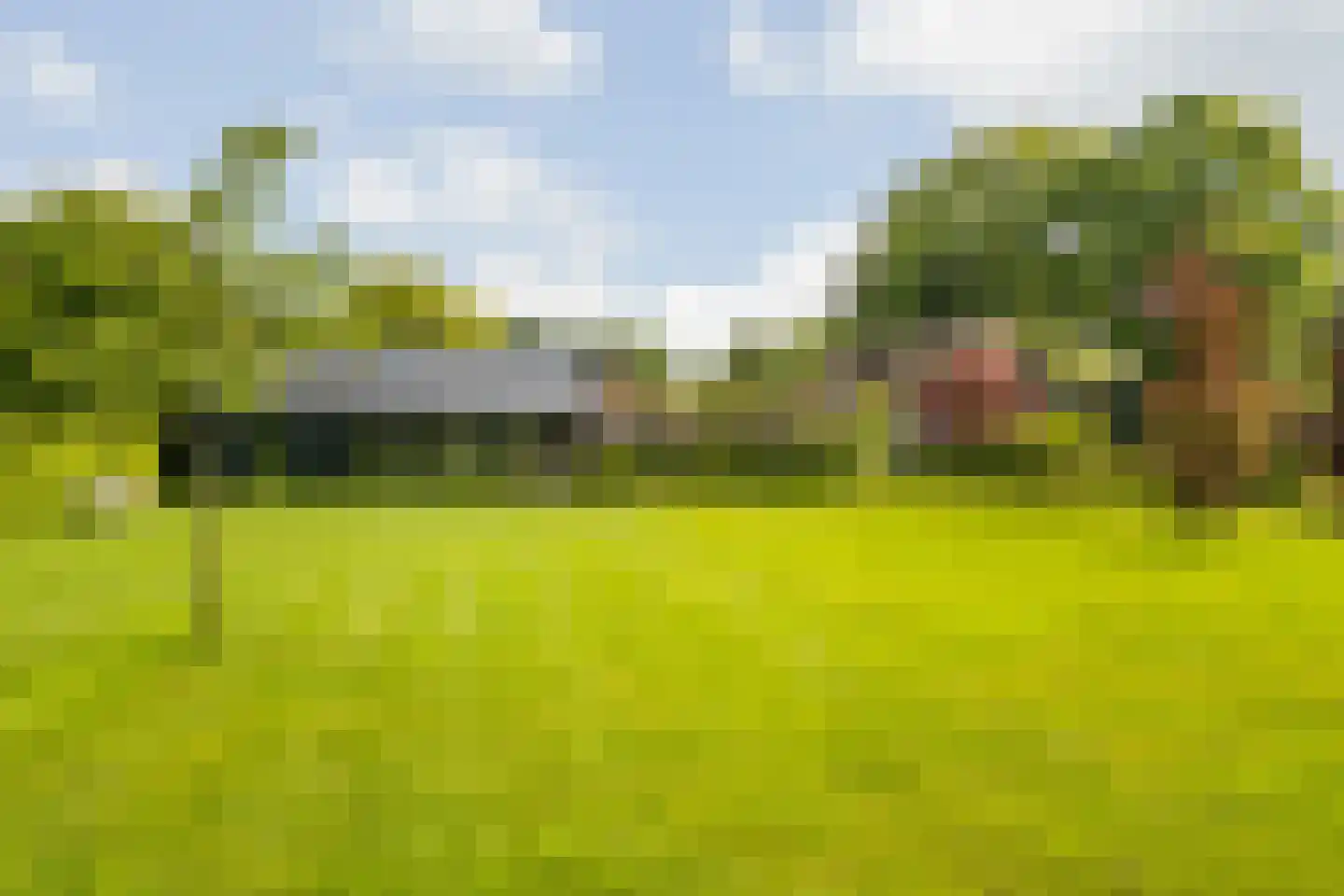 Hoog Soeren 105 Hoog Soeren thumbnail 4