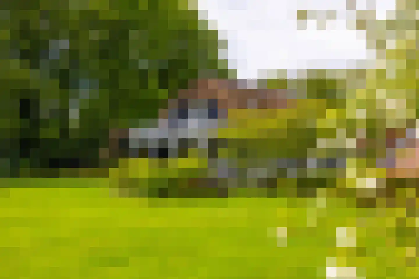 Hoog Soeren 105 Hoog Soeren thumbnail 5