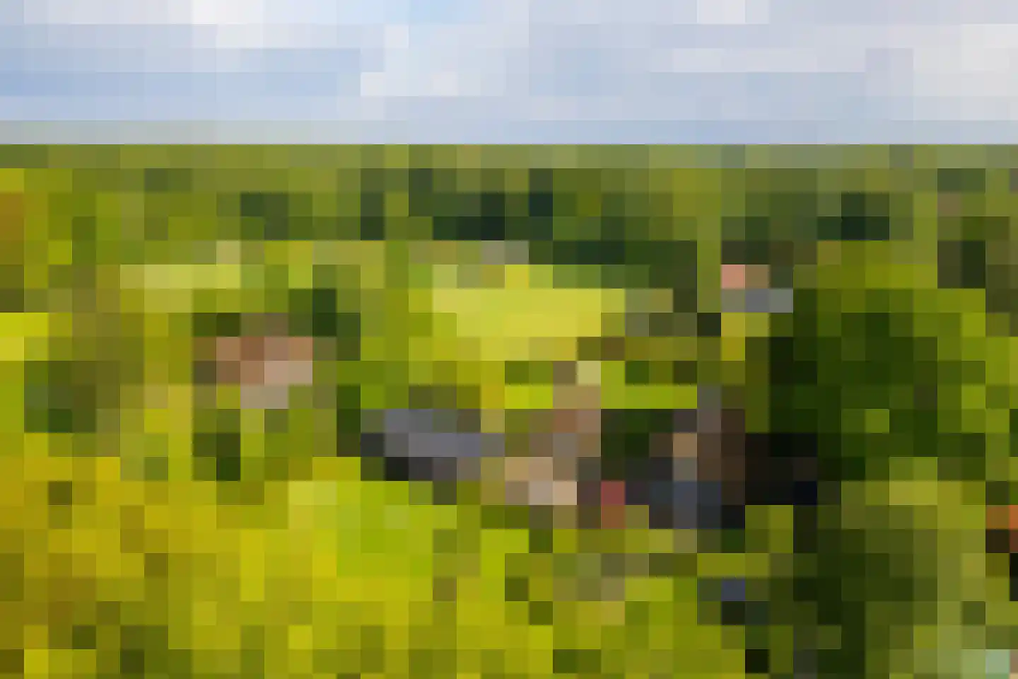 Hoog Soeren 105 Hoog Soeren thumbnail 56