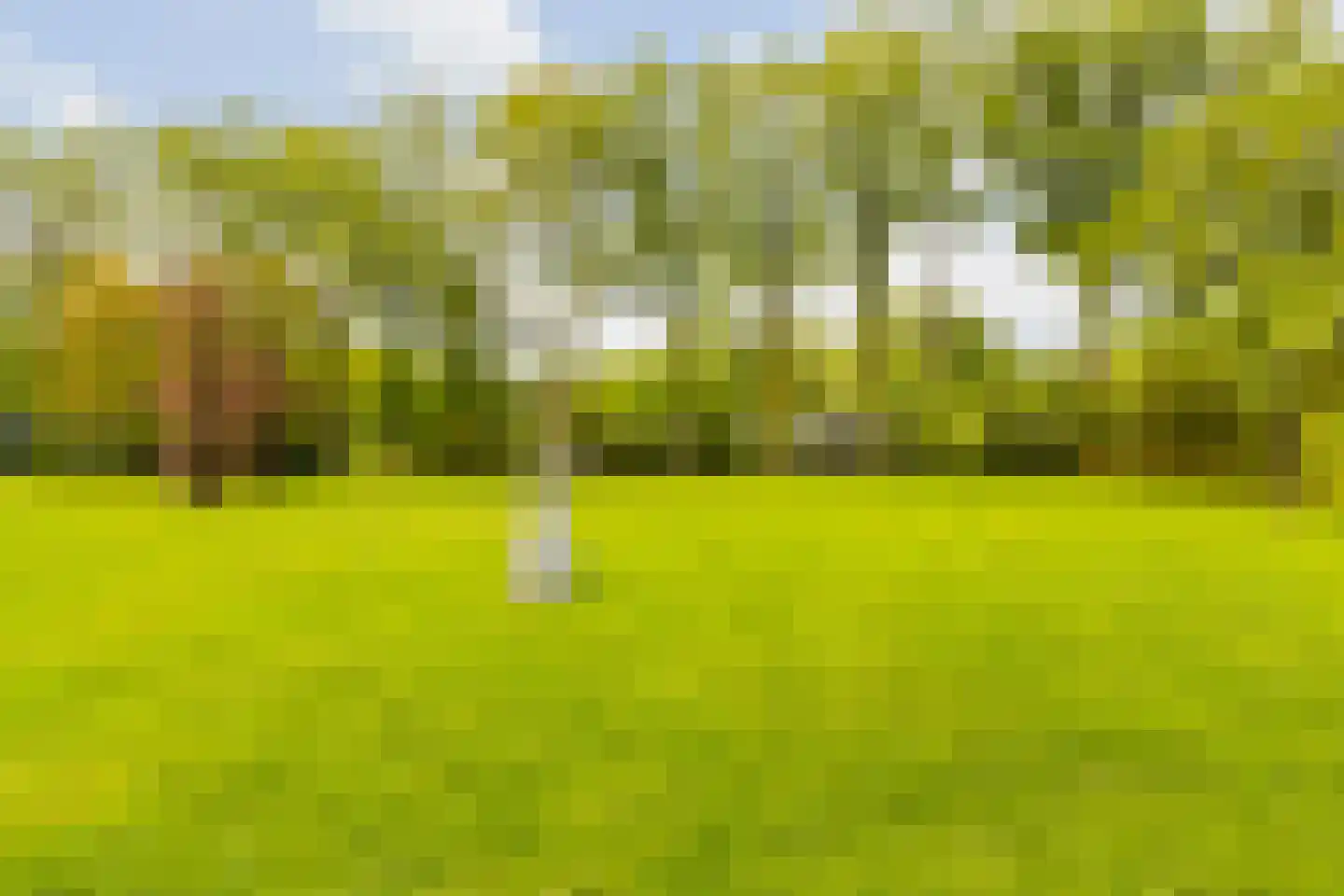 Hoog Soeren 105 Hoog Soeren thumbnail 58