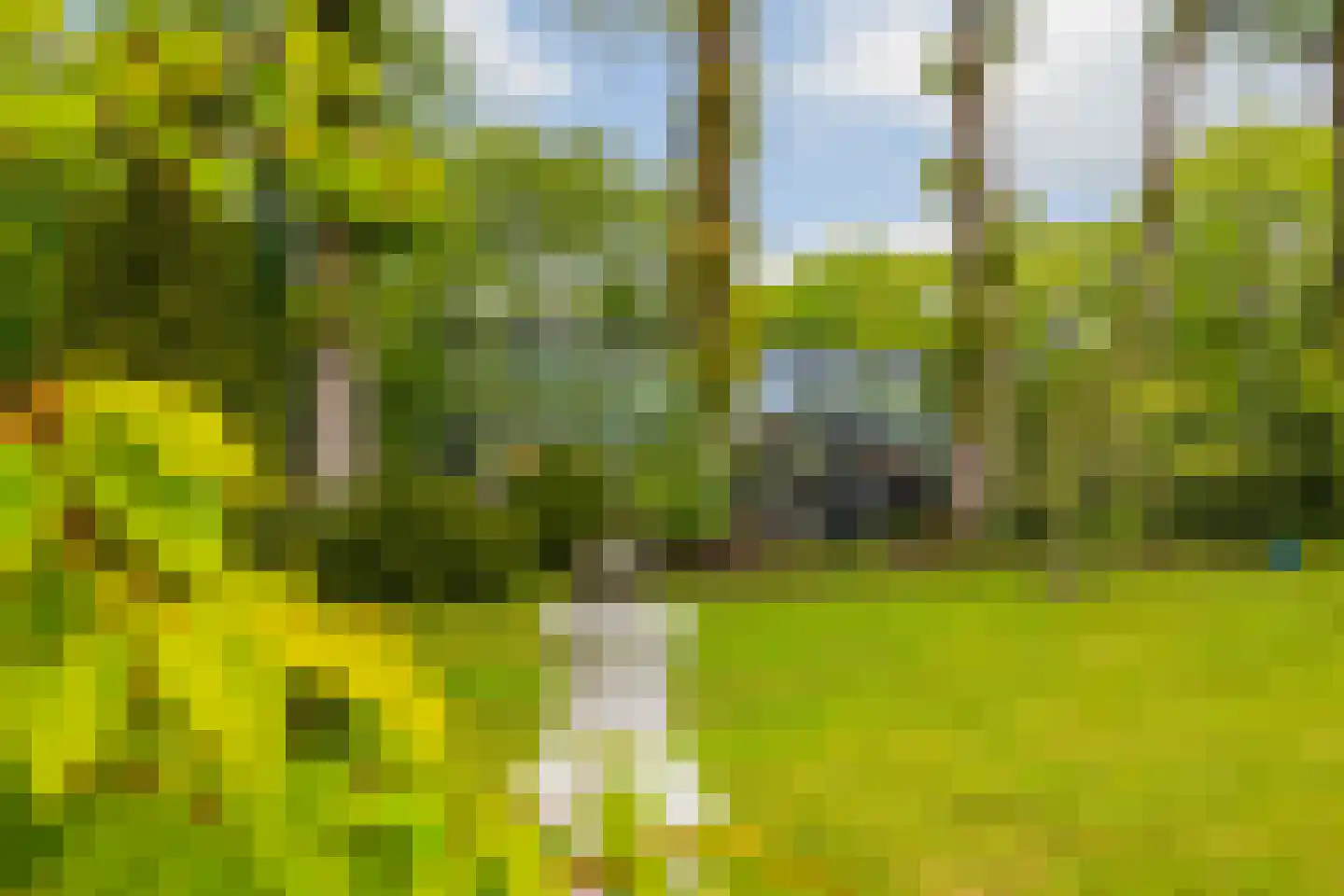 Hoog Soeren 105 Hoog Soeren thumbnail 59