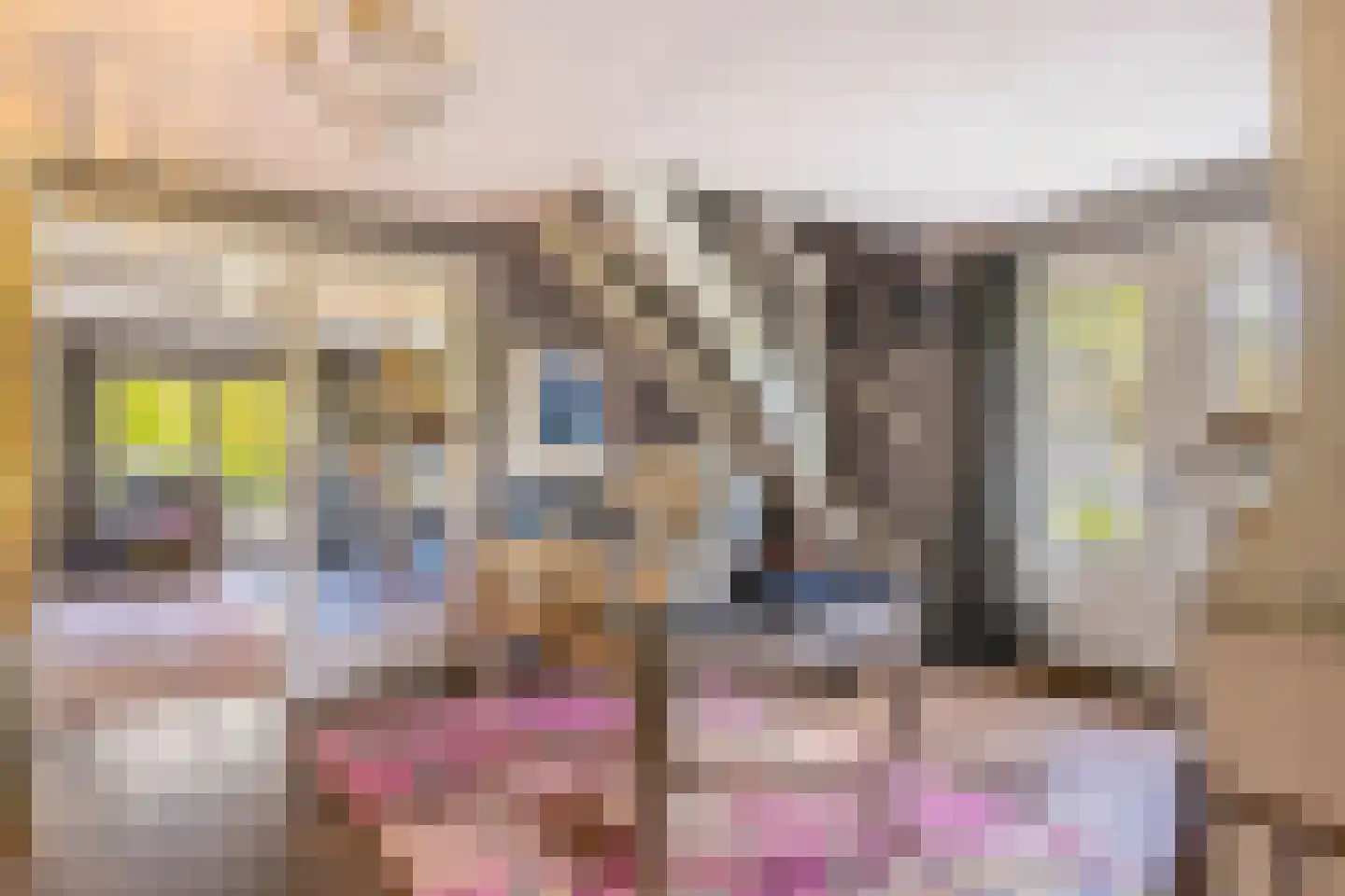 Hoog Soeren 105 Hoog Soeren thumbnail 6