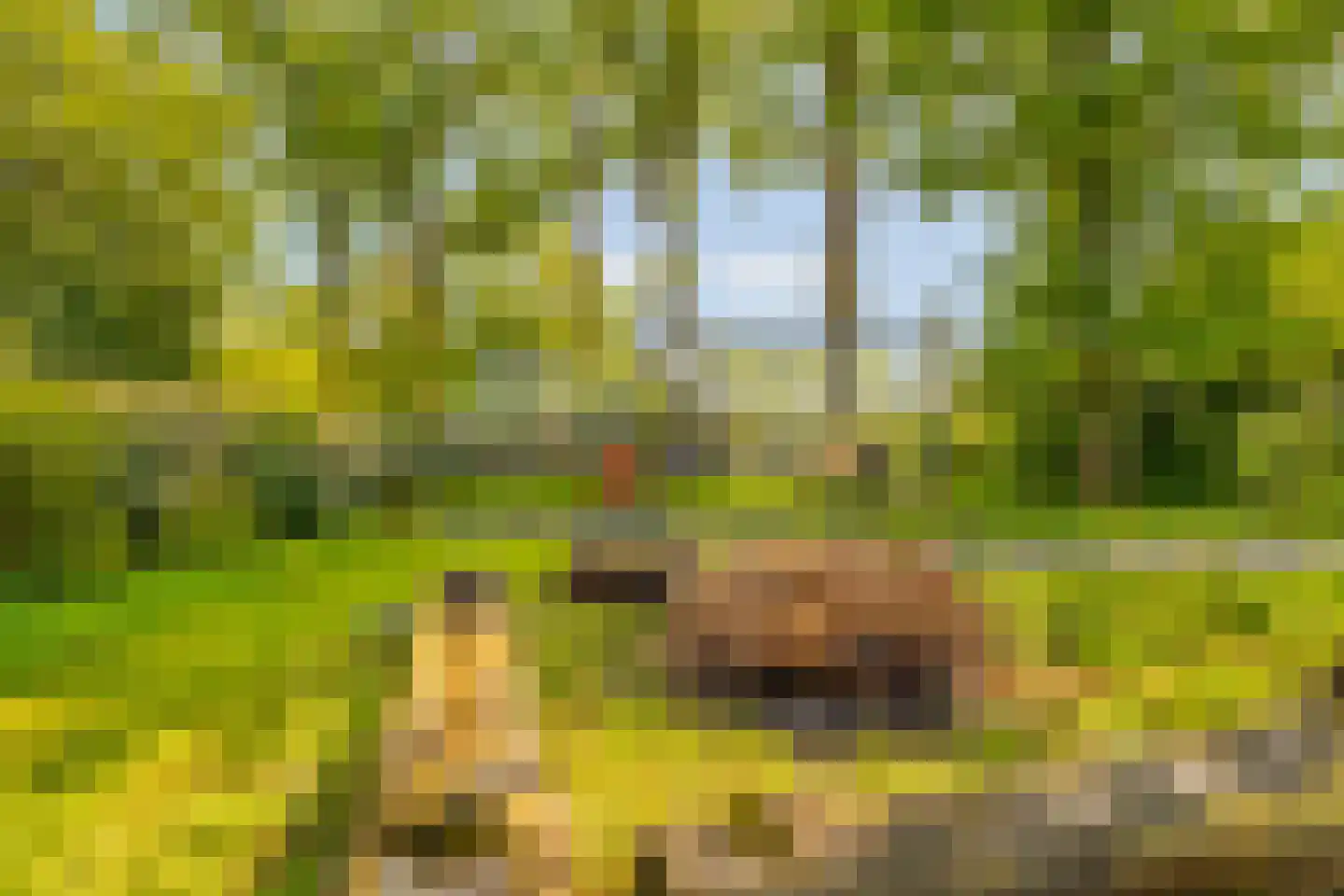 Hoog Soeren 105 Hoog Soeren thumbnail 60